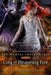 City of heavenly fire 9781406332933 Cassandra Clare Brukte bøker