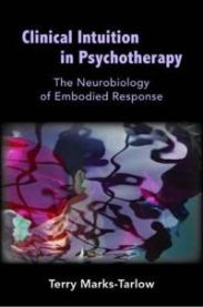 Clinical Intuition in Psychotherapy 9780393707038 Terry Marks-Tarlow Brukte bøker