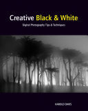 Creative Black and White 9780470597750 Harold Davis Brukte bøker