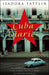 Cuba diaries 9780553815320 Isadora Tattlin Brukte bøker