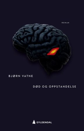 Død og oppstandelse 9788205535855 Bjørn Vatne Brukte bøker