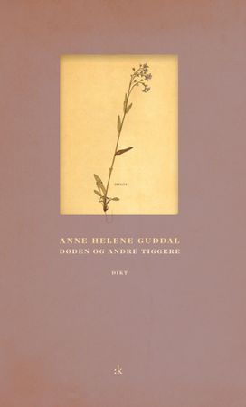 Døden og andre tiggere 9788205494053 Anne Helene Guddal Brukte bøker