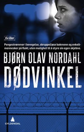Dødvinkel 9788205492509 Bjørn Olav Nordahl Brukte bøker