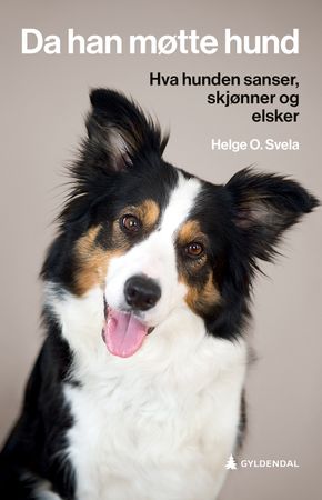 Da han møtte hund 9788205514904 Helge O. Svela Brukte bøker