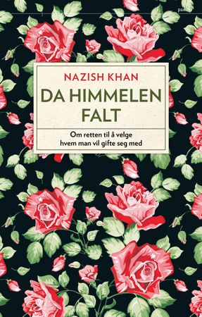 Da himmelen falt 9788253037240 Nazish Khan Brukte bøker