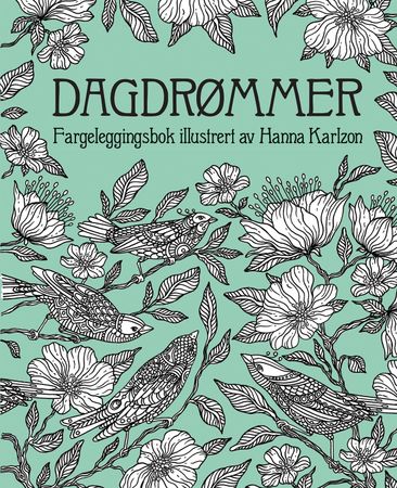 Dagdrømmer 9788205488687 Hanna Karlzon Brukte bøker