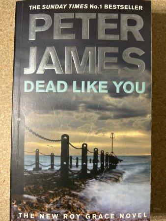 Dead like you 9780330520508 Peter James Brukte bøker