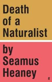 Death of a Naturalist 9780571328802 Seamus Heaney Brukte bøker