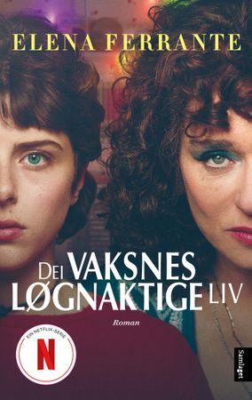Dei vaksnes løgnaktige liv 9788234005145 Elena Ferrante Brukte bøker