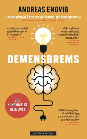 Demensbrems 9788202705251 Andreas Engvig Brukte bøker
