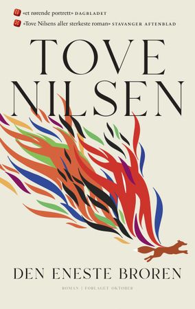 Den eneste broren 9788249523436 Tove Nilsen Brukte bøker