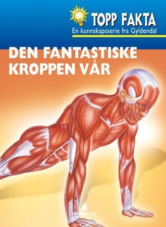 Den fantastiske kroppen vår 9788205386440 Sally Odgers Brukte bøker
