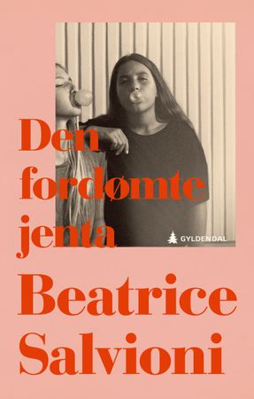 Den fordømte jenta 9788205580787 Beatrice Salvioni Brukte bøker