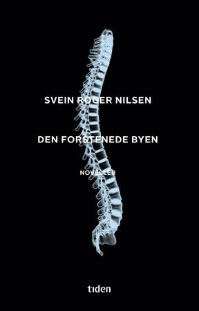 Den forstenede byen 9788210054730 Svein Roger Nilsen Brukte bøker