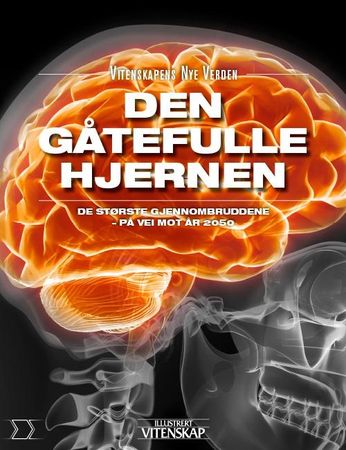 Den gåtefulle hjernen 9788253535302 Jan Aagaard Brukte bøker