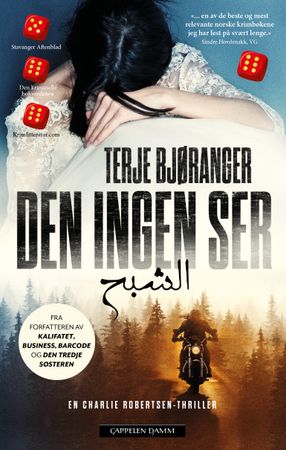 Den ingen ser 9788202838096 Terje Bjøranger Brukte bøker