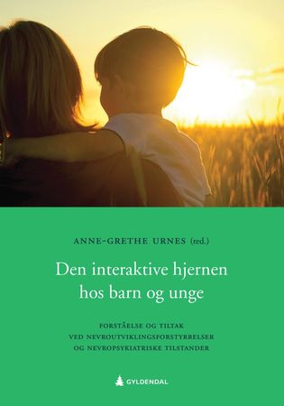 Den interaktive hjernen hos barn og unge 9788205510937  Brukte bøker