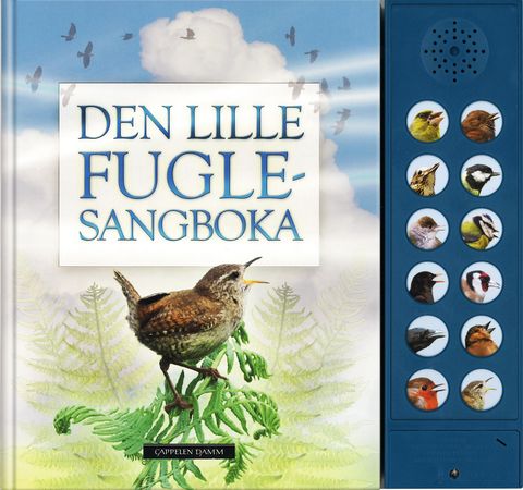 Den lille fuglesangboka 9788202572853 Andrea Pinnington Caz Buckingham Brukte bøker