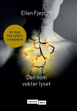 Den som vokter lyset 9788241918940 Ellen Fjestad Brukte bøker