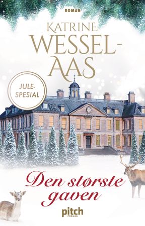 Den største gaven 9788293551744 Katrine Wessel-Aas Brukte bøker