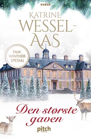 Den største gaven 9788293551935 Katrine Wessel-Aas Brukte bøker