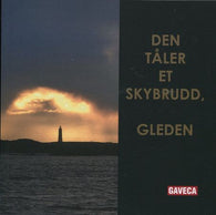 Den tåler et skybrudd, gleden 9788293520719 Anders Myhren Brukte bøker