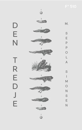 Den tredje 9788282885416 M. Seppola Simonsen Brukte bøker