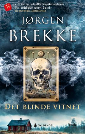 Det blinde vitnet 9788205612389 Jørgen Brekke Brukte bøker