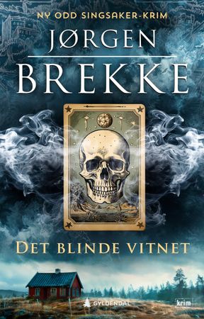 Det blinde vitnet 9788205604063 Jørgen Brekke Brukte bøker
