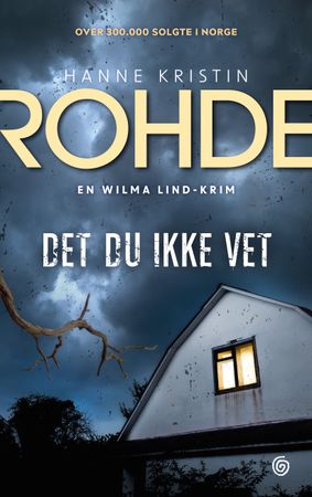 Det du ikke vet 9788248933724 Hanne Kristin Rohde Brukte bøker