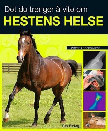 Det du trenger å vite om hestens helse 9788252931914 Kieran O'Brien Brukte bøker