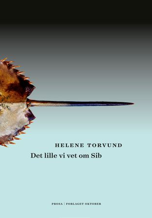 Det lille vi vet om Sib 9788249526369 Helene Torvund Brukte bøker