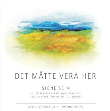 Det måtte vera her 9788291871295 Signe Seim Brukte bøker