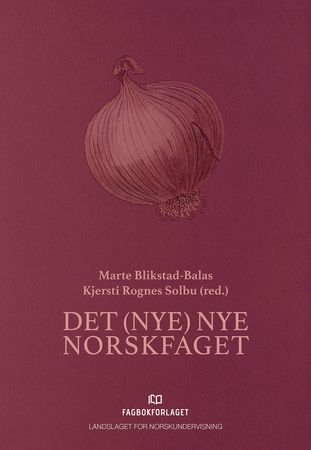 Det (nye) nye norskfaget 9788245033267  Brukte bøker