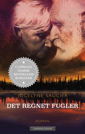 Det regnet fugler 9788202704087 Jocelyne Saucier Brukte bøker
