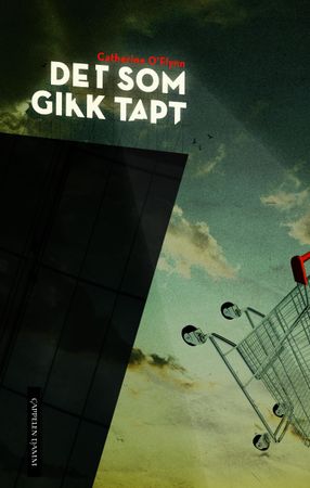 Det som gikk tapt 9788204156358 Catherine O'Flynn Brukte bøker