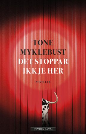 Det stoppar ikkje her 9788202664237 Tone Myklebust Brukte bøker