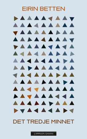 Det tredje minnet 9788202824389 Eirin Andresen Betten Brukte bøker