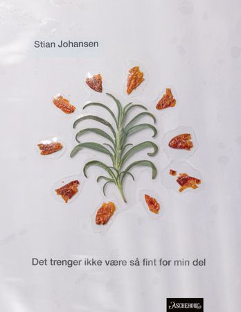Det trenger ikke være så fint for min del 9788203397172 Stian Johansen Brukte bøker