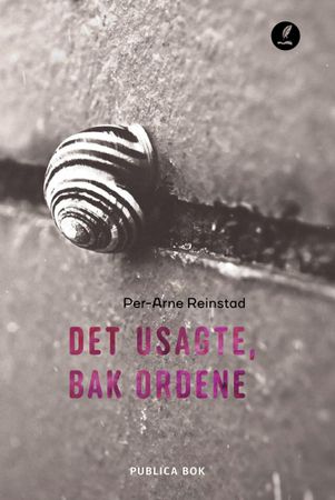 Det usagte, bak ordene 9788282514927 Per-Arne Reinstad Brukte bøker
