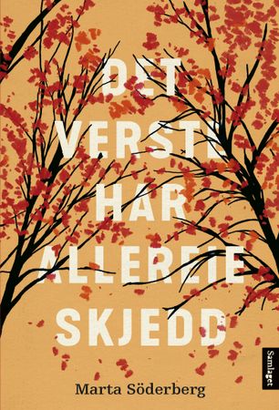 Det verste har allereie skjedd 9788234010262 Marta Söderberg Brukte bøker