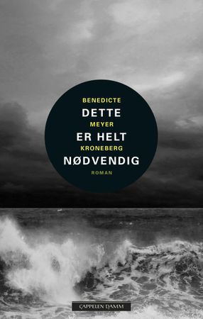 Dette er helt nødvendig 9788202527518 Benedicte Meyer Kroneberg Brukte bøker