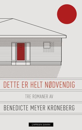 Dette er helt nødvendig 9788202564490 Benedicte Meyer Kroneberg Brukte bøker