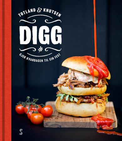 Digg 9788279592693 Anders Totland Brukte bøker
