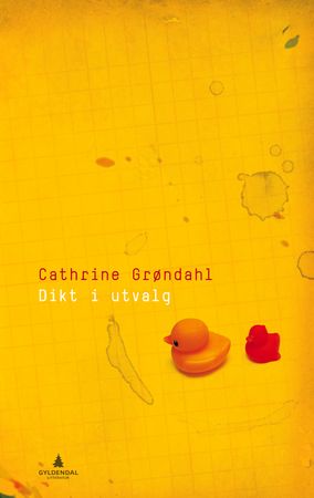 Dikt i utvalg 9788205400801 Cathrine Grøndahl Brukte bøker
