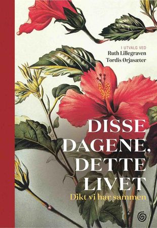 Disse dagene, dette livet 9788248918745  Brukte bøker