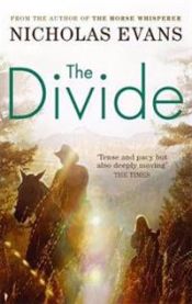 Divide 9780751539349 Nicholas Evans Brukte bøker