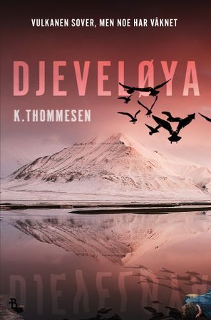 Djeveløya 9788234705915 Karen Thommesen Brukte bøker