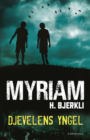 Djevelens yngel 9788284150123 Myriam H. Bjerkli Brukte bøker