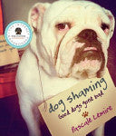 Dog Shaming 9780753555156 Pascale Lemire Brukte bøker